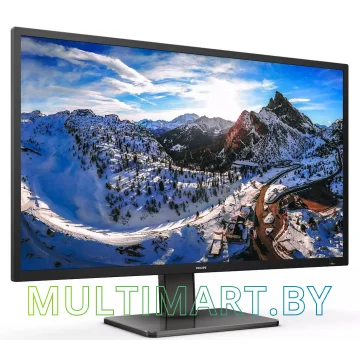 Монитор Philips 439P1/00 картинка 2